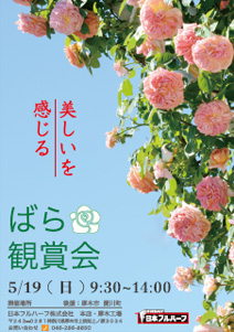 5月19日(日)日本フルハーフ　バラ観賞会