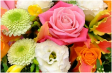 おまかせアレンジ 3,500円